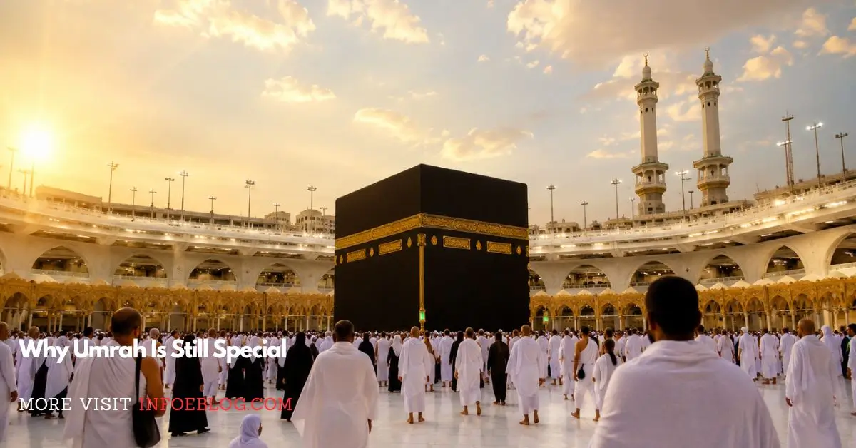 difference umrah and hajj